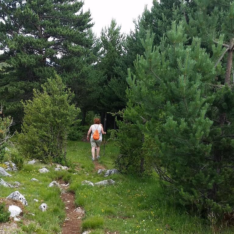 Turismo Rural Castell Neril エクステリア 写真